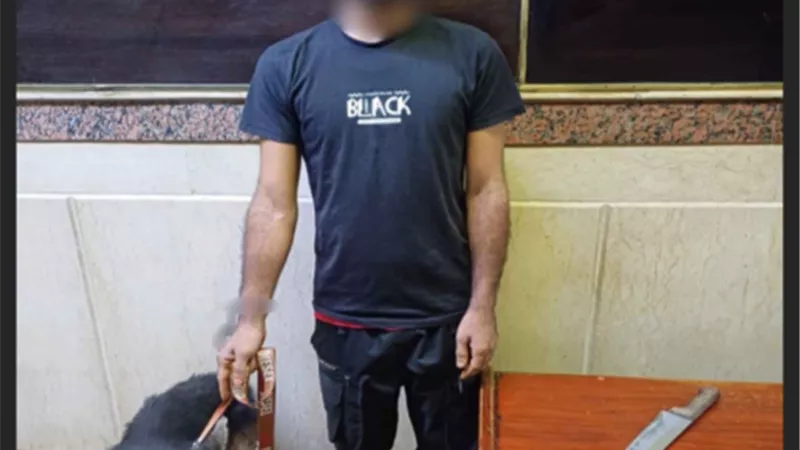 ضبط عاطل لممارستها أعمال البلطجة بالجيزة
