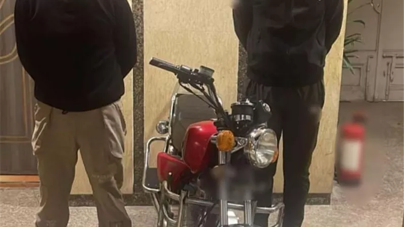 ضبط عاطلين سرقا حقيبة من سيدة أمام أحد البنوك ببورسعيد