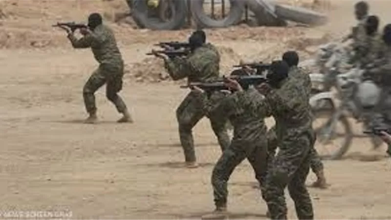 حزب الله يرفض نزع السلاح: 