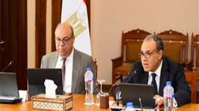 وزير الخارجية: مصر ستواصل سعيها لضمان وصول الدعم إلى الدول الأكثر احتي