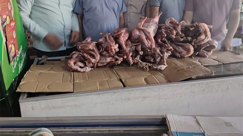 محافظ أسيوط: ضبط لحوم غير صالحة للاستهلاك الآدمي وتحرير 300 محضر