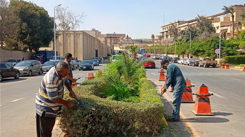 محافظ الجيزة: صيانة شاملة للمسطحات الخضراء والأشجار والمزروعات