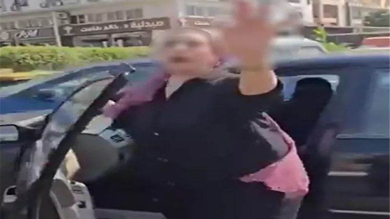 ملابسات فيديو تعدى سيدة على شخص بالسب والتلويح له بإشارات خارجة