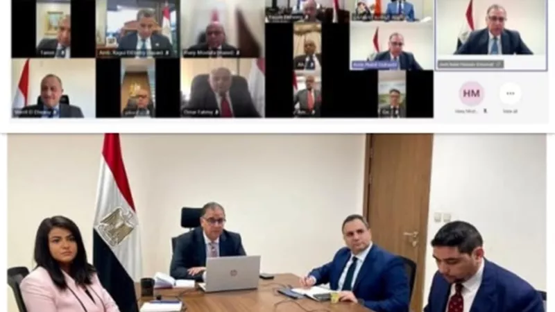 طيورنا المهاجرة تختار ممثليها في مجلس النواب