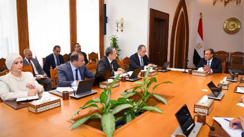 وزير الخارجية يتابع استعدادات افتتاح المتحف المصرى الكبير