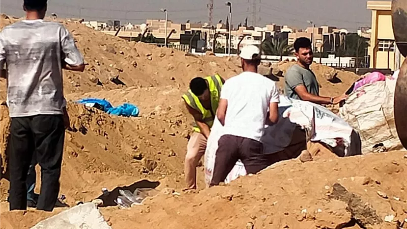 لا نباشين بعد اليوم.. حملات مكثفة بجهاز مدينة الشيخ زايد