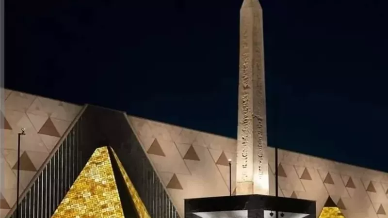 النجار: مشاركة مجتمعية واسعة لإبراز الحدث وبث روح الفرح