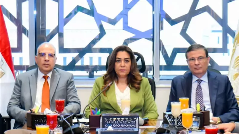 منال عوض تشدد على تنسيق الجهود لبحث تأثير تغير المناخ على الأمن الغذائي