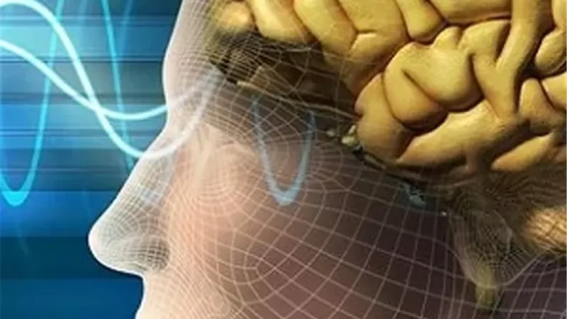 اكتشاف جزيء في الدماغ يعمل كـ