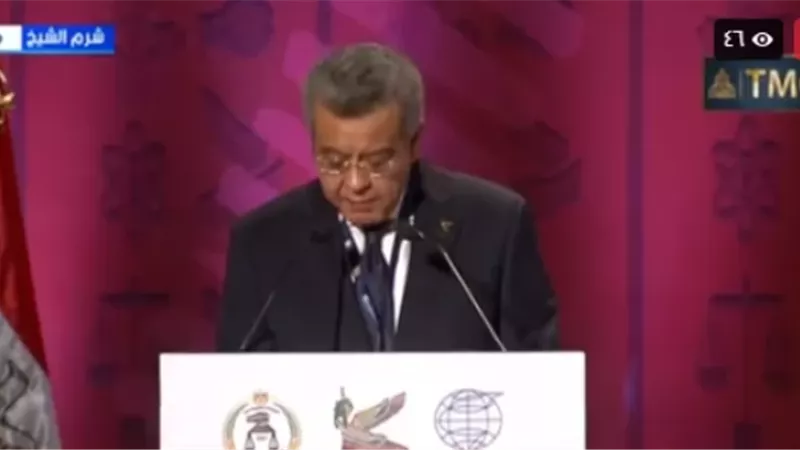 الإنتوساي: دعم الرئيس السيسي أسهم في تعزيز دور المنظمة عالميًا