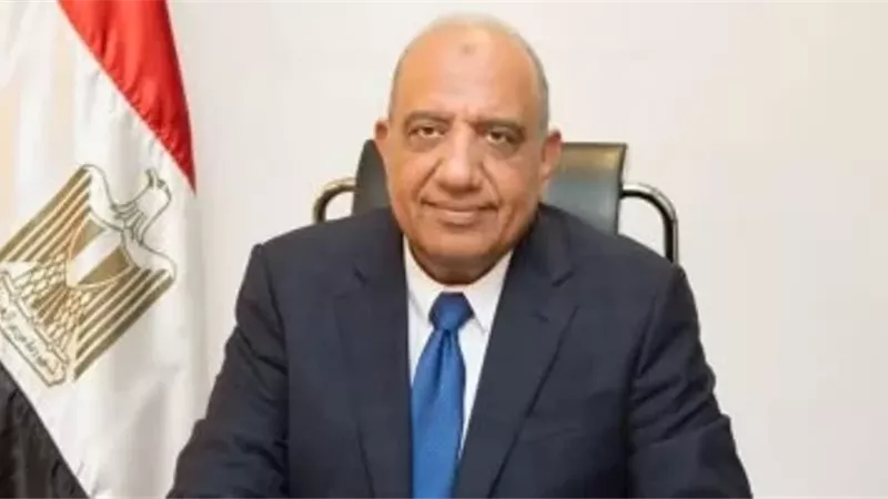 تعاون مصرى صينى فى تخزين الطاقة والتحول الرقمى والحلول الذكية