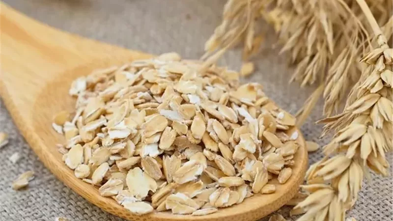 فوائد الشوفان في تنظيم ضغط الدم وتعزيز الصحة العامة