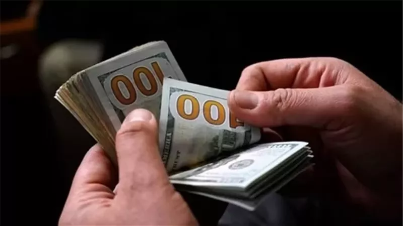 سعر الدولار في البنك المركزي المصري 47.15 جنيه للشراء