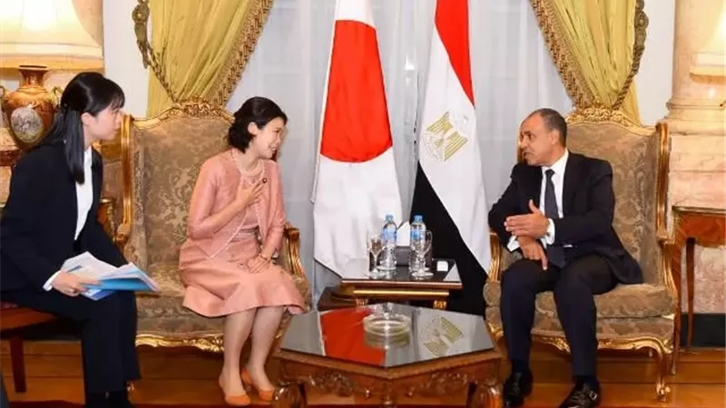 وزير الخارجية يعرب عن تقديره للدعم الياباني للمتحف المصري الكبير