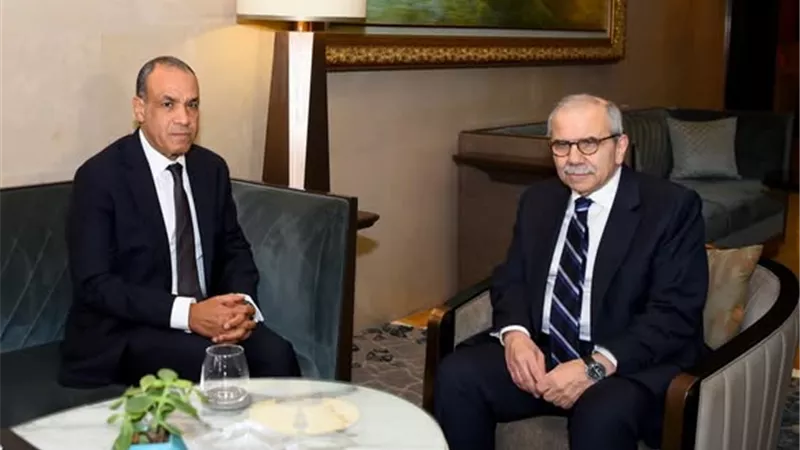 وزير الخارجية يؤكد موقف مصر الثابت في دعم سيادة لبنان ووحدته الوطنية