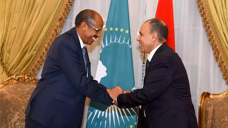 وزير الخارجية يؤكد دعم مصر الكامل لجهود الاتحاد الإفريقي