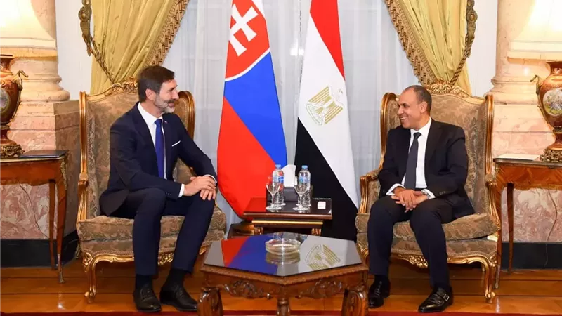 وزيرا خارجية مصر وسلوفاكيا يؤكدان ضرورة العمل للارتقاء بالتعاون الاقتصادي