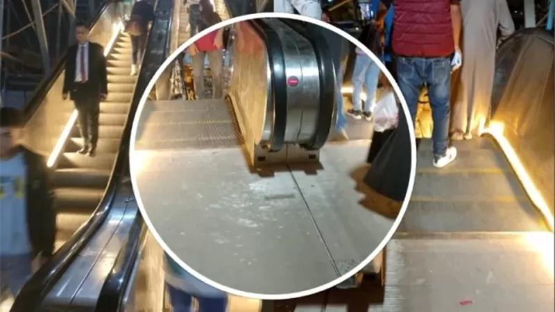 محافظ القليوبية يوجه بتركيب لمبات 