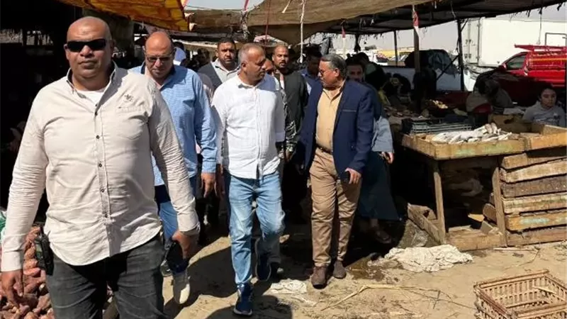 جهاز بدر والصحة يضبطان ربع طن لحوم ودواجن فاسدة ويحرران 10 محاضر.. صور
