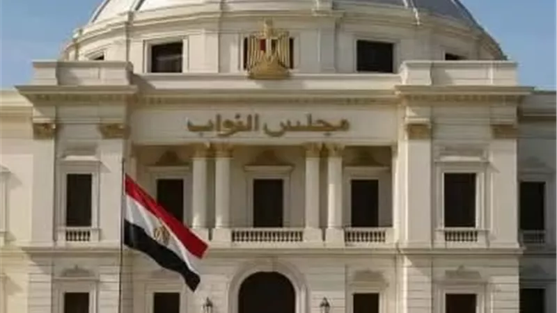 336 ألف ناخب يستعدون للإدلاء بأصواتهم في انتخابات مجلس النواب