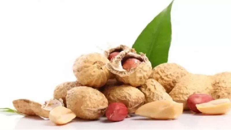 الفول السوداني والكبد .. فوائد صحية ومخاطر محتملة