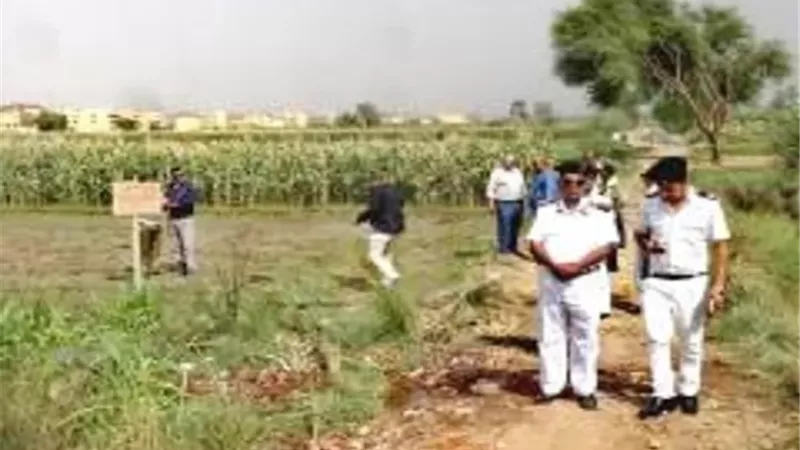 استرداد 60 قيراط و ضبط 3 عربات حنطور فى حملة بالأقصر