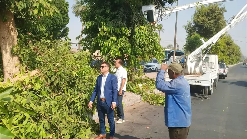 رفع مستوى النظافة العامة وقص وتهذيب الاشجار بالبياضية جنوب الأقصر