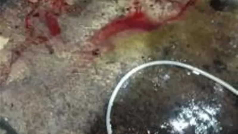 ضبط 120 كيلو لحوم مذبوحة خارج المجازر في بنها