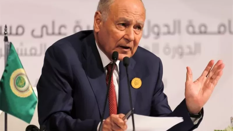 الجامعة العربية تشارك في متابعة انتخابات مجلس النواب المصري 2025