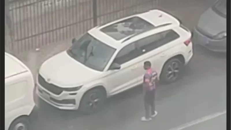 ضبط سايس بدون ترخيص فى الجيزة