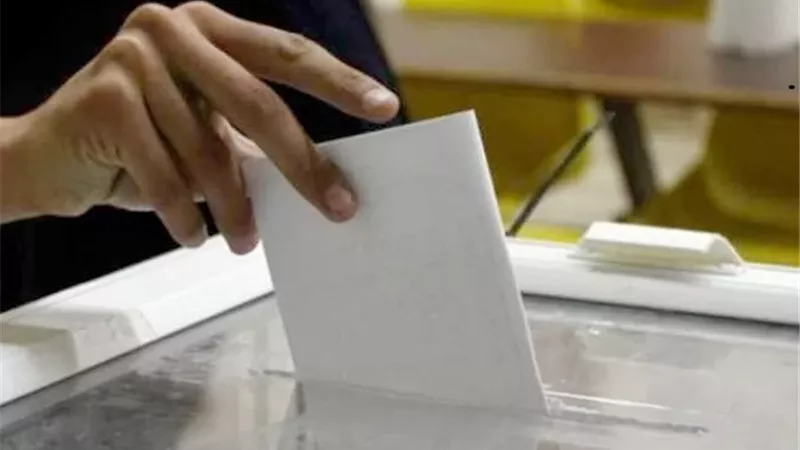 كوريا الشمالية والجنوبية واليابان تستقبل المصريين لانتخابات النواب