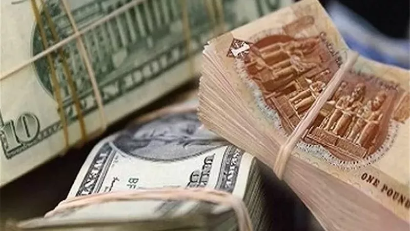 47.41 جنيه للبيع.. سعر الأخضر يستقر فى بنك مصر