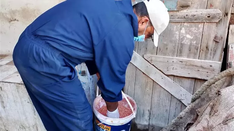 صحة دمياط تواصل حملات القضاء على القوارض بالكتلة السكنية