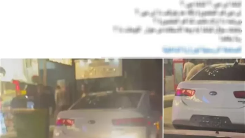 ضبط سائق سيارة لطمسه لوحاتها المعدنية بالدقهلية