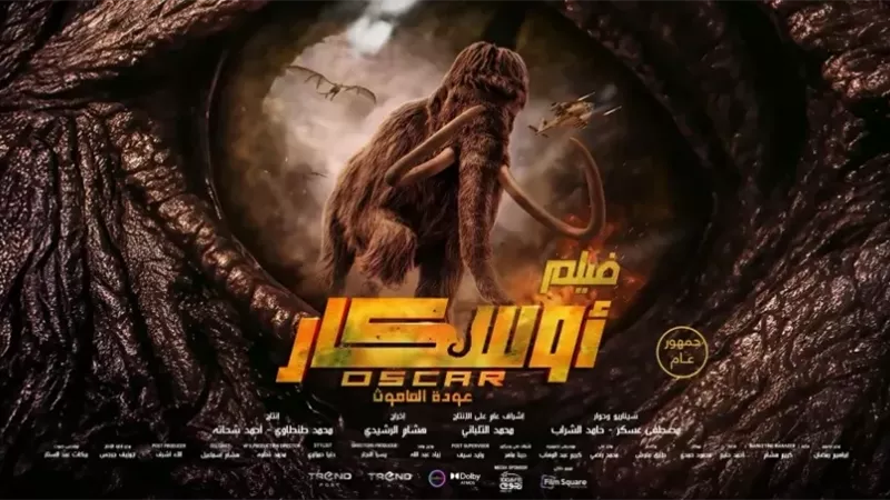 حصيلة إيرادات فيلم 