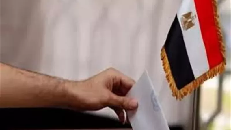 فرهود: الانتخابات البرلمانية فرصة لكل مصري للمشاركة في باريس