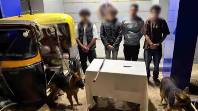 ملابسات مشاجرة بين سائق توك توك و3 طلاب وبحوزتهم سلاح أبيض وكلبان