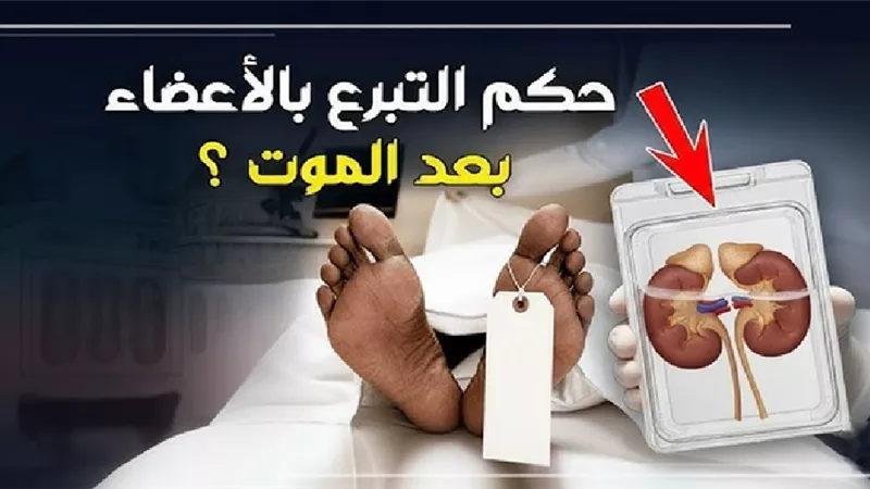 هل التبرع بالأعضاء اعتداء على حرمة الميت؟.. الإفتاء تجيب