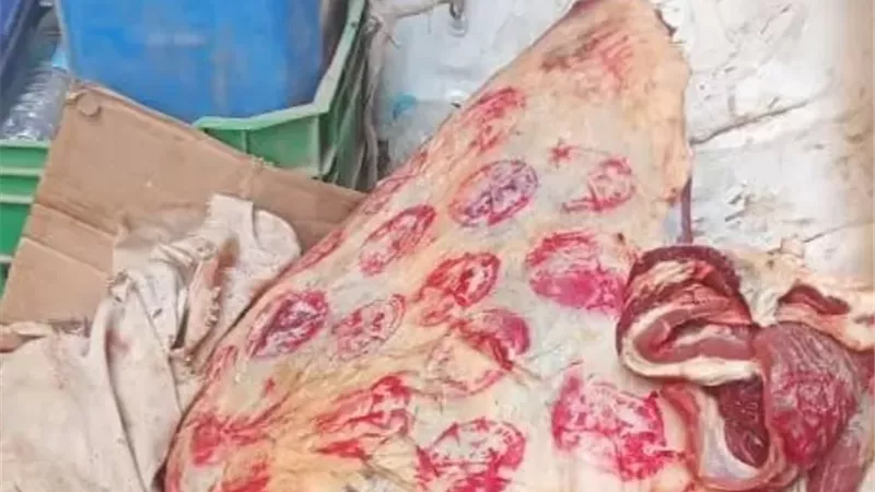 محافظ أسيوط: مديرية التموين تحرر ٤٦٥ محضرًا للمخابز