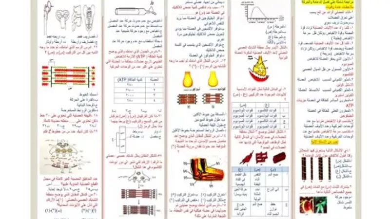 مراجعة أحياء لطلاب الصف الثالث الثانوي 2026