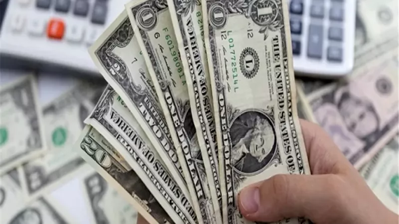 سعر الدولار اليوم الأحد 9 نوفمبر 2025 في مصر