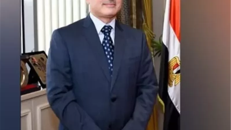 قنصل مصر في دبي: تنسيق كامل لتيسير تصويت المصريين في انتخابات النواب