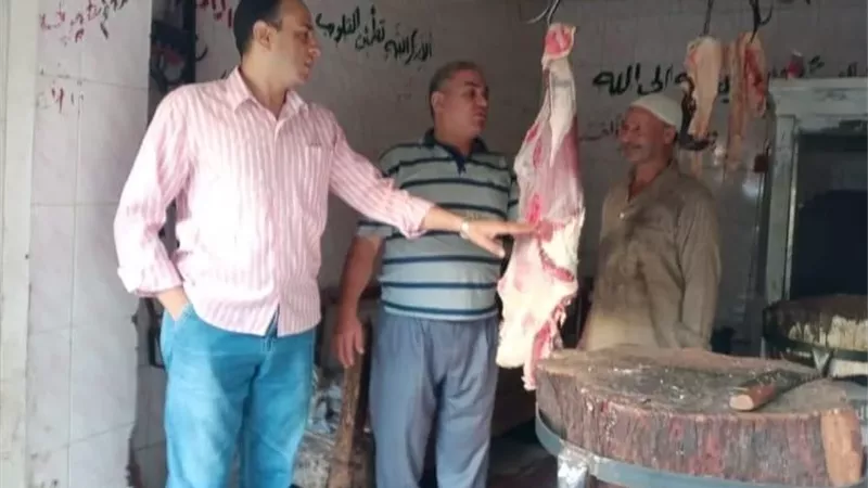 ضبط 174 مخالفة خلال حملات تفتيشية لضبط الأسواق بالمنيا