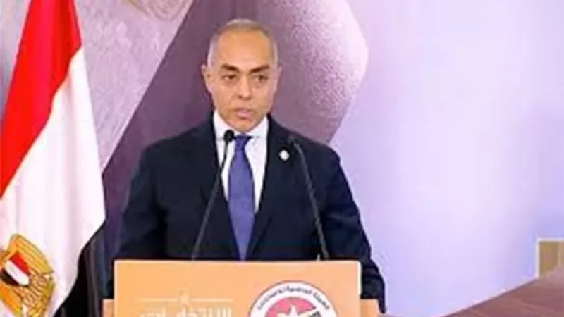 بنداري: تمرس الدبلوماسيين المصريين في تنظيم الانتخابات ساهم في تيسير العملية الانتخابية