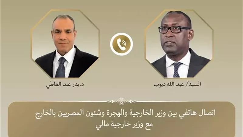 وزير الخارجية يؤكد توفير أقصى درجات الحماية للمصريين المقيمين في مالى