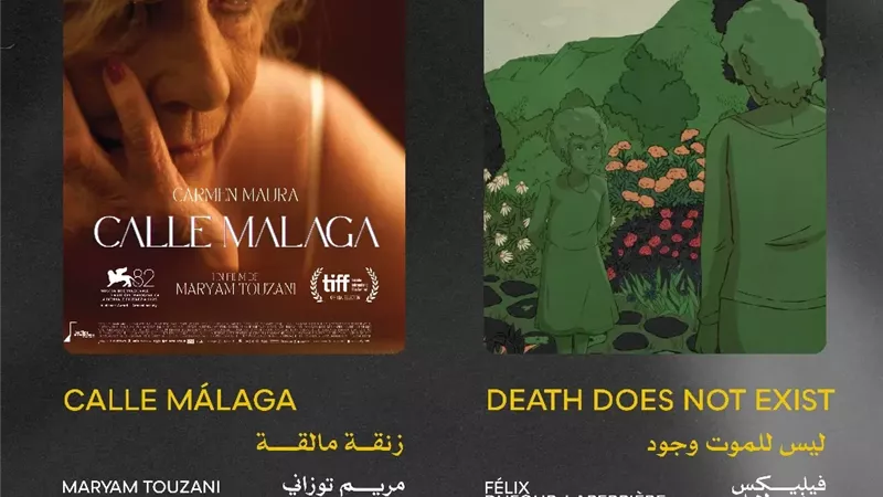 مهرجان القاهرة يعلن عن القائمة النهائية لأفلام المسابقة الدولية