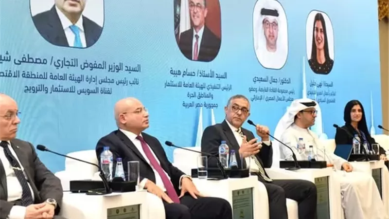 هيبة يكشف تفاصيل تخارج الدولة من 85% من الاقتصاد المصري
