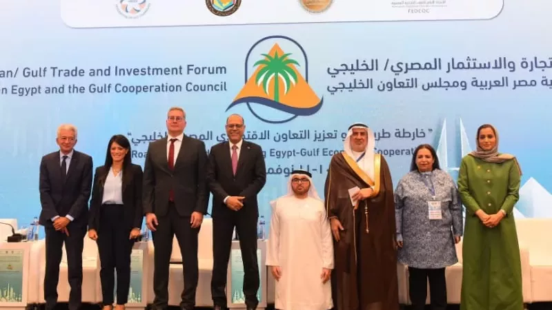 وزير العمل: القانون الجديد يحقق التوازن بين العامل وصاحب العمل