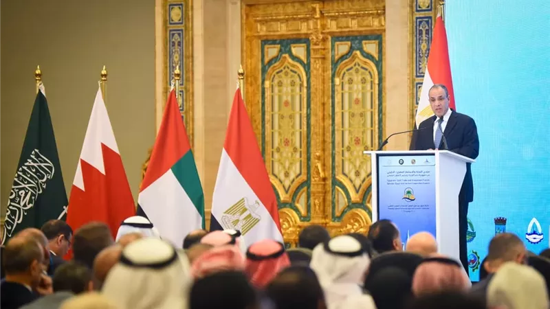 وزير الخارجية: العلاقات المصرية - الخليجية لها جذور تاريخية راسخة