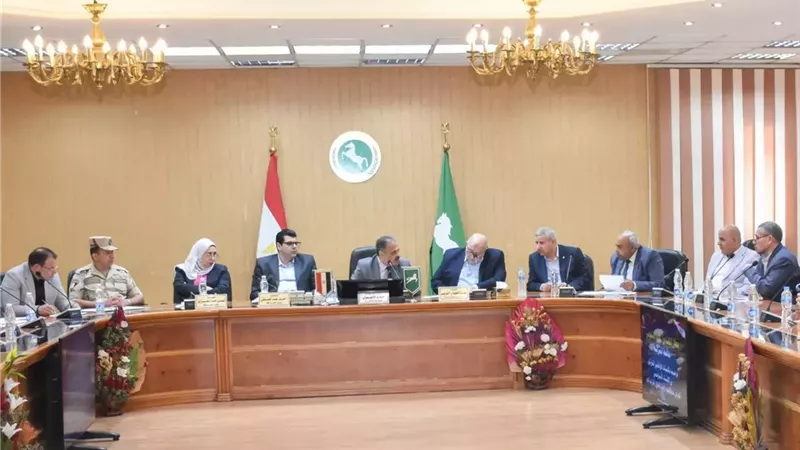 الأشموني: فرص عمل ومساعدات مالية وعلاج على نفقة الدولة